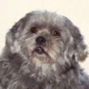 Meet your Posher, June